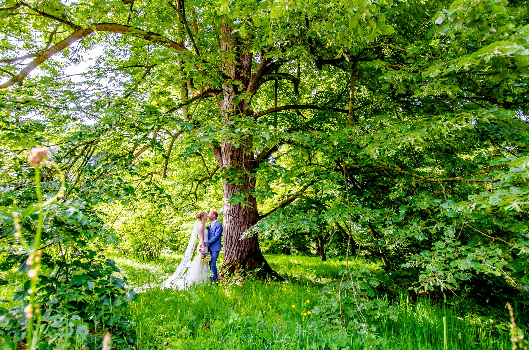 bruidspaar staat onder mooie grote boom gefotografeerd door trouwfotograaf in Almelo